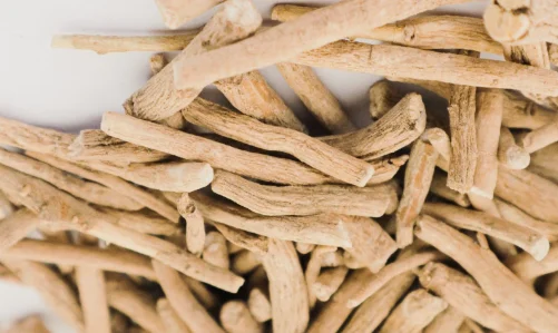 Ashwagandha Can Improve Men’s Health